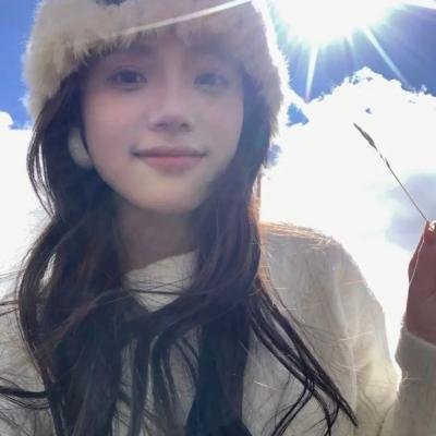 科搜研之女2022