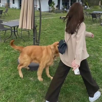 朋友圈 第2季